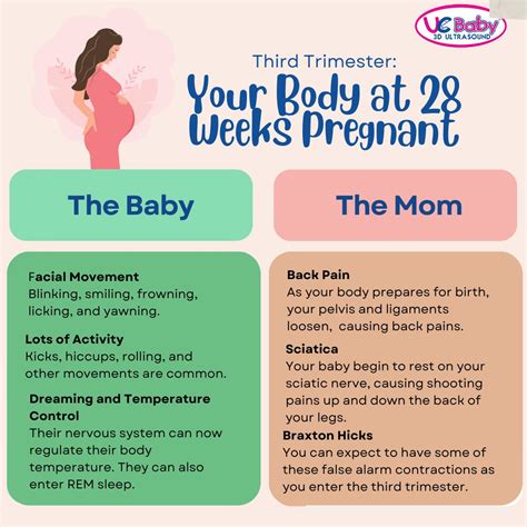 28 Week Pregnancy Symptoms