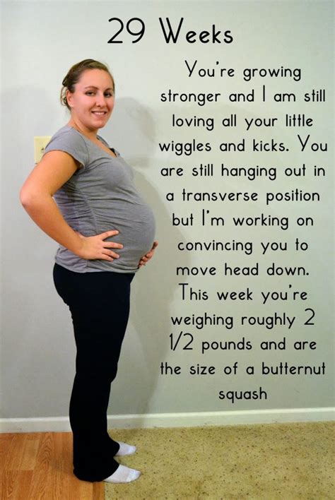 29 weeks pregnant