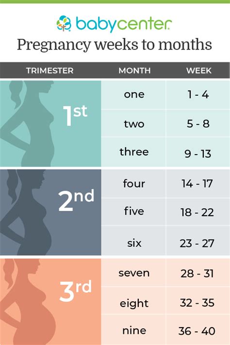 37 weeks to months