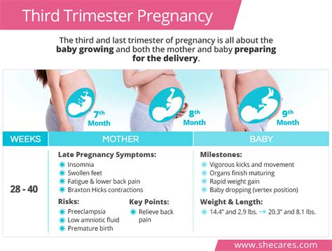 Common concerns during the 3rd trimester