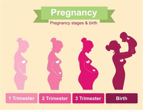 3rd trimester physical changes
