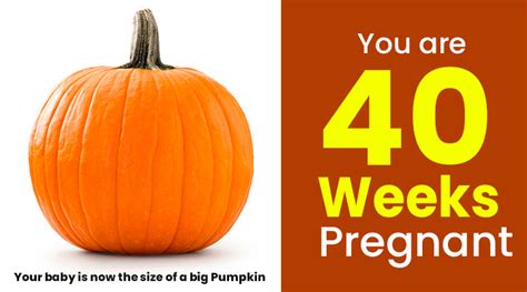 40 weeks pregnancy journey