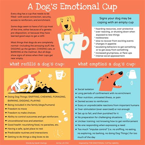 5 Things Dogs Do That Are Fascinating