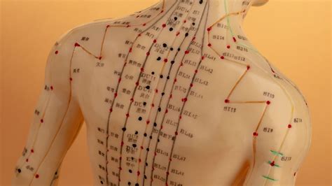 5 Ways Acupuncture Helps