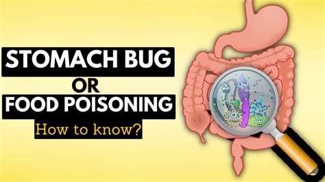 5 Ways to Beat Tummy Bugs