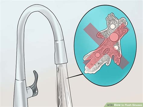 5 Ways to Flush Sinuses