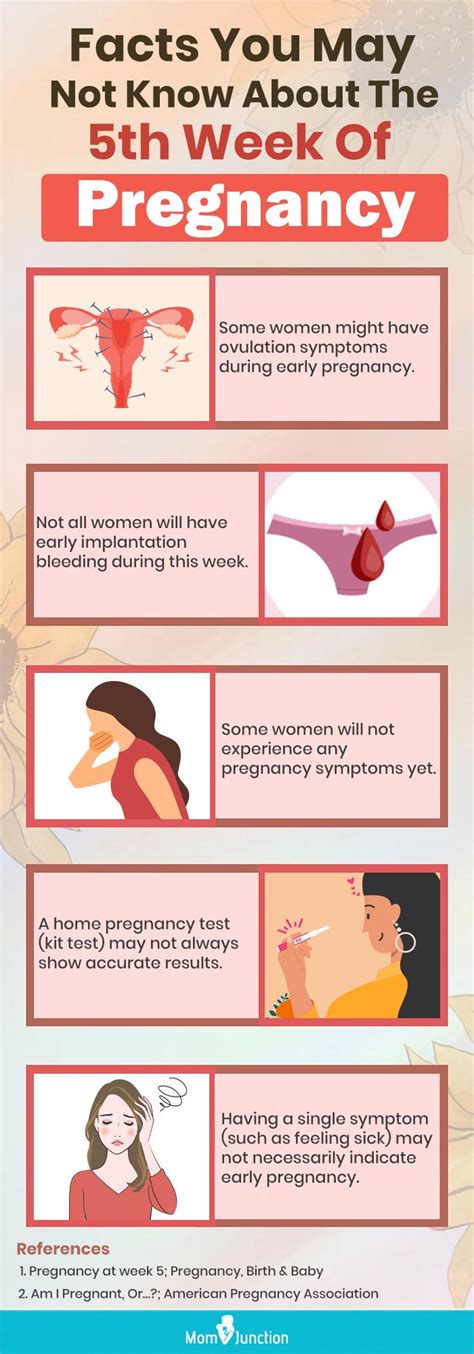 5 weeks pregnant symptoms