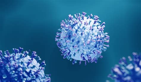 7 Rs Virus