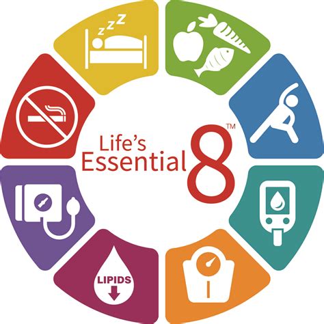 7 essentials mom needs