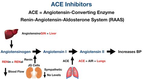 Ace Inhibitors