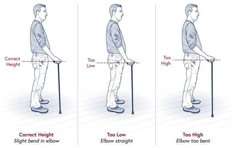 Adjusting the Cane to the Correct Height