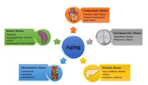 Age-Related Factors