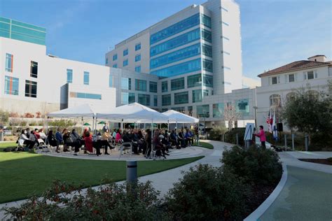 Alameda Health System logo