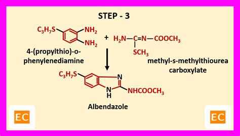 Albendazole Mechanism