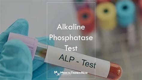 Alkaline Phosphatase Blood Test Results in Different Age Groups