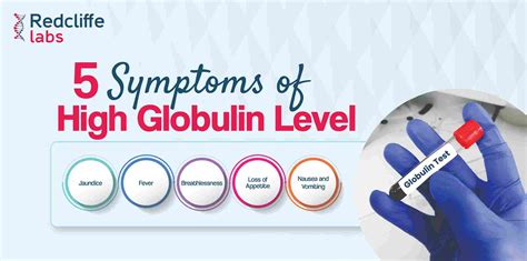 The 5 Ways Alpha Globulin Levels Can Become High