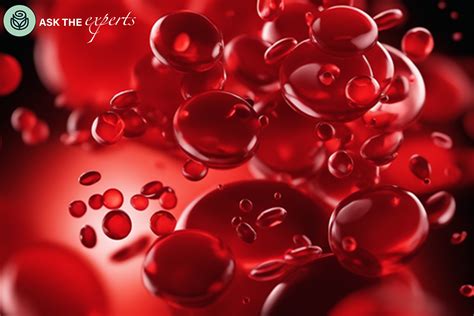 Alternatives to Warfarin