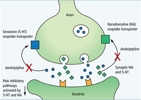 Amitriptyline Mechanism of Action