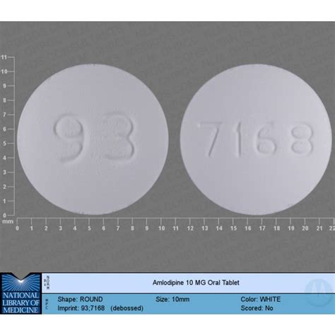 Amlodipine Besylate 10 Mg Mechanism of Action