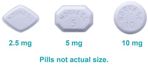 Amlodipine Besylate Mechanism of Action