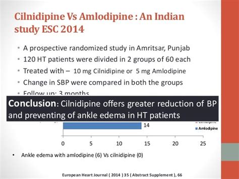 Amlodipine Conclusion