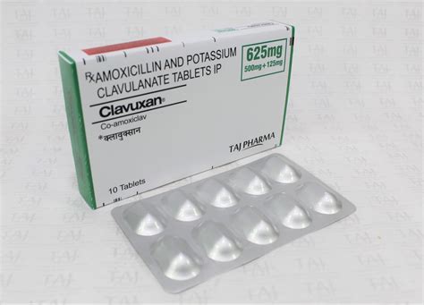 Amox Clavulanate Introduction