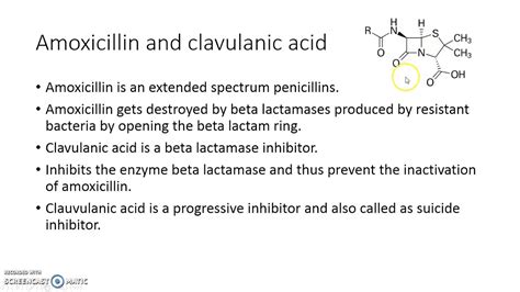 Amoxicillin Clavulanic Acid Working