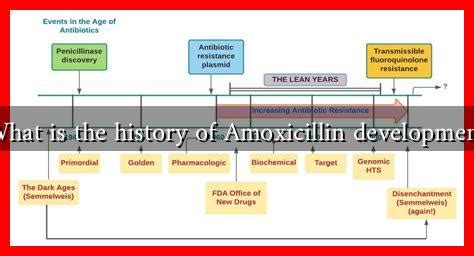 Amoxicillin Conclusion