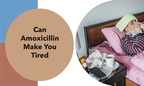 Amoxicillin Conclusion