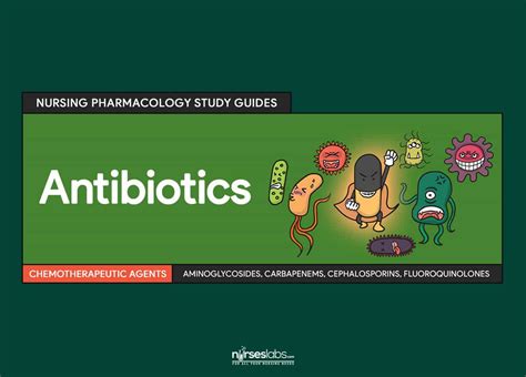 Amoxicillin Introduction