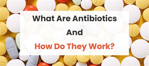 Amoxicillin Introduction