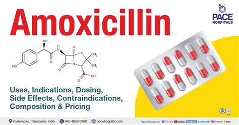 Amoxil Precautions