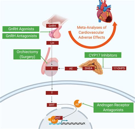 Androgen Deprivation Therapy