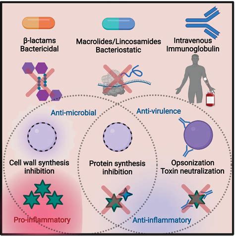 Antibiotics Fight Strep