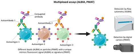Antinuclear Antibody Test Future Directions