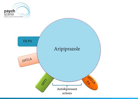 Aripiprazole Interactions