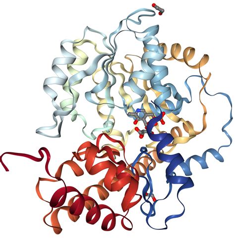 Aspartate Aminotransferase
