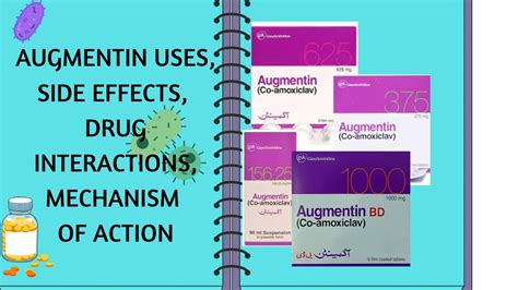Augmentin Mechanism