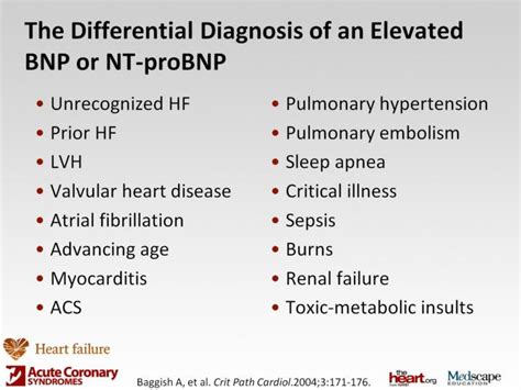 BNP and Other Conditions