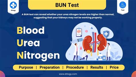 BUN in Blood Test