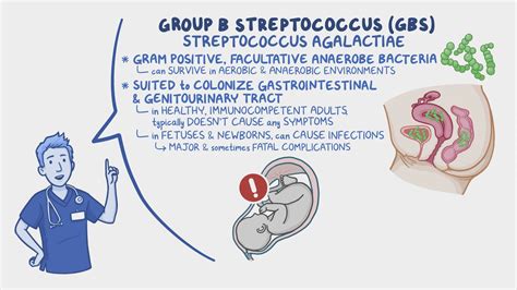 Bacterial Infections and GBS