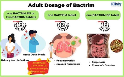 Bactrim Future Directions