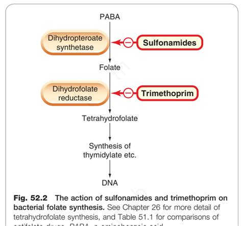 Bactrim Mechanism of Action