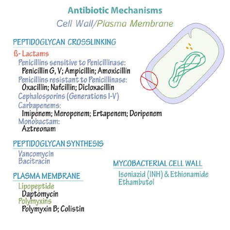 Bactrim Resistance