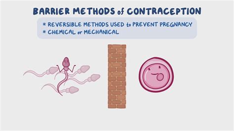 Barrier Anti-Pregnancy Methods