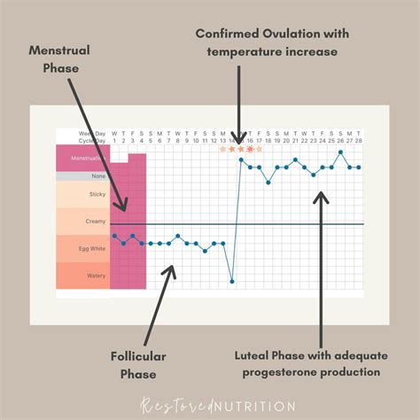 Basal Body Temperature Tracking
