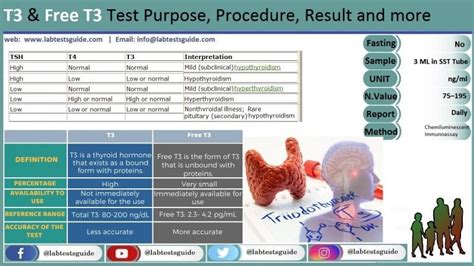 Benefits of T3 Free Lab Test