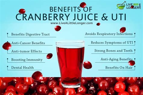 Benefits of Cranberry Juice UTI Symptoms