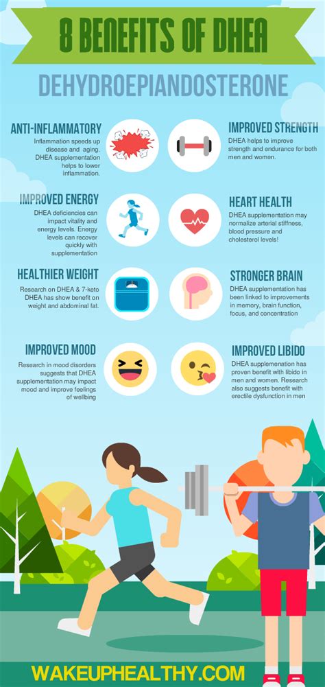 Benefits of DHEA sulfate