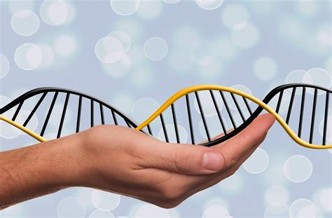Benefits of DNA Testing